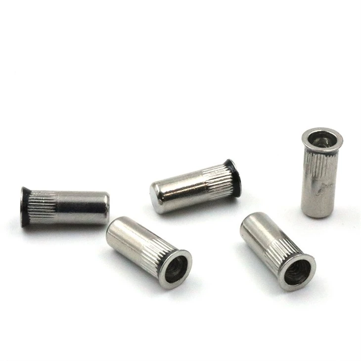 sealing rivet (5)