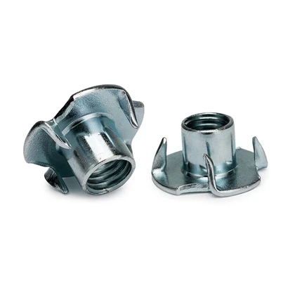 10 loại hạt khác nhau